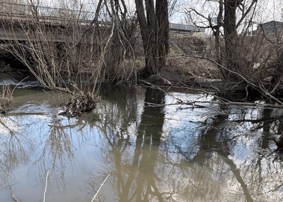 На Київщині неочищені стічні води стікають у річку Буча: за справу взялися екологи