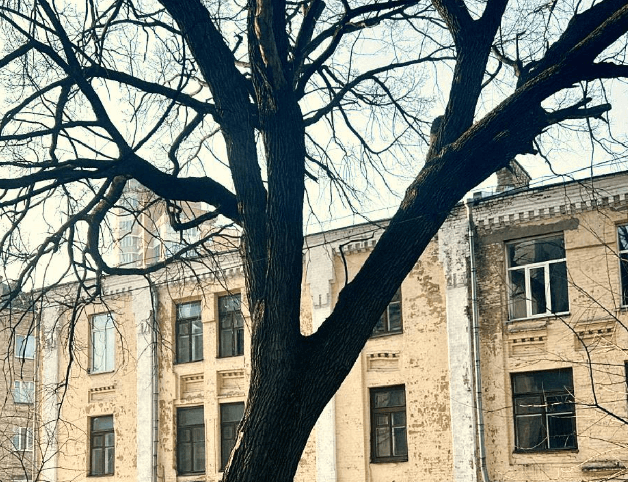 Дуб Миколи Пимоненка став ботанічною пам’яткою місцевого значення