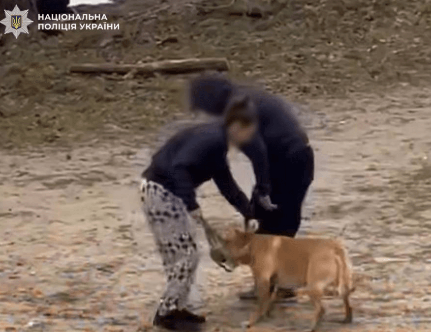 Киянку оштрафували майже на 3,5 тис. грн за побиття свого собаки під час прогулянки