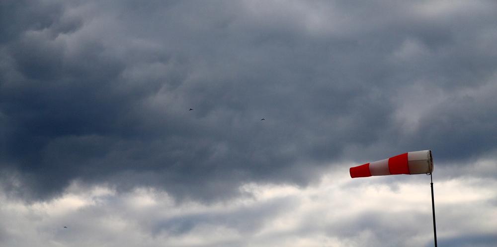 Сильні пориви вітру очікуються у столиці: куди звертатися у разі надзвичайних ситуацій