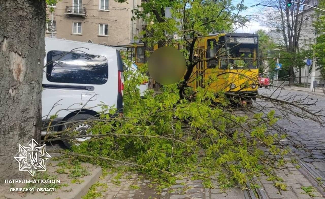 Сильний буревій накрив частину України: вирвані дерева, знесені покрівлі, поламані борди (відео)