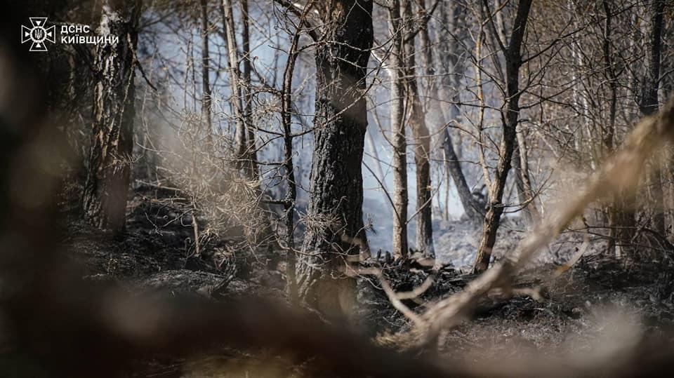 У Зоні відчуження п’яту добу гасять повторне займання лісу після атаки