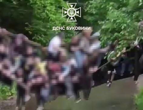У Чернівецькій області у річку обвалився міст з групою дітей