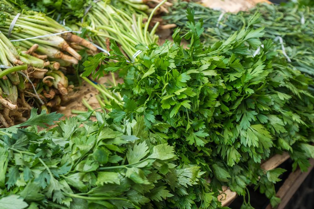 Де у Києві у вихідні проходитимуть продуктові ярмарки: локації