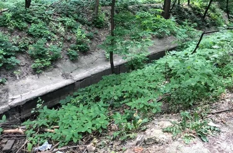 Струмок Вершинка